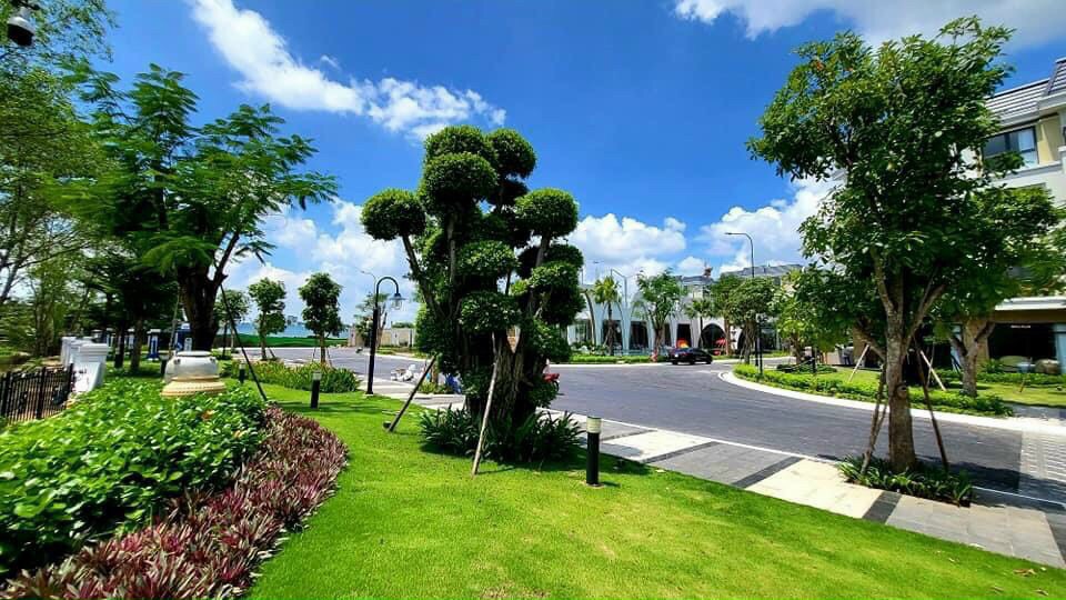 Mảng xanh tại The Classia